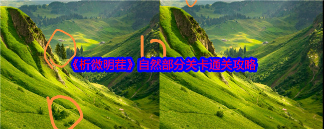 《析微明茬》自然部分关卡通关攻略