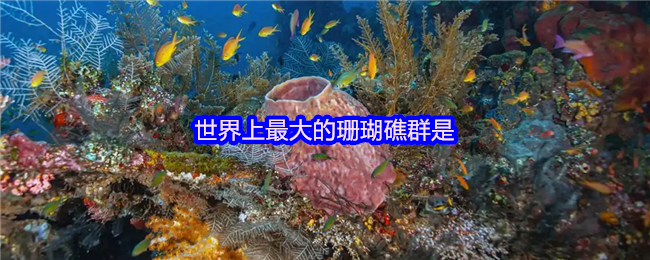 世界上最大的珊瑚礁群是