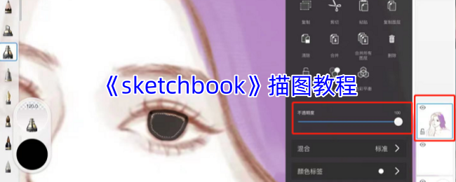 《sketchbook》描图教程