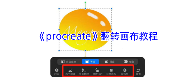《procreate》翻转画布教程